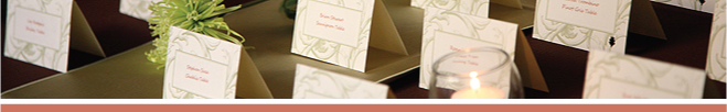 Wedding Services: Wedding Planner, Coordinator, Vow Commitment Planner, Wedding and Event Design, Florida Destination Weddings
